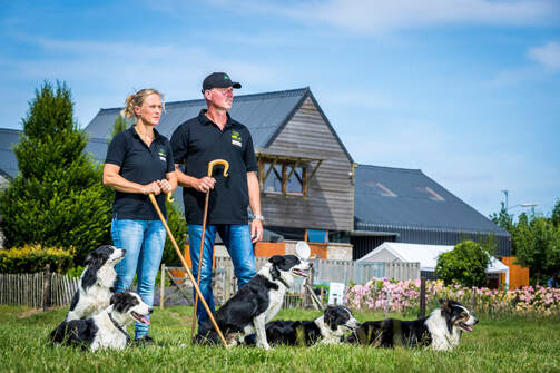 Serge en Ellen van der Zweep met hun Border Collies